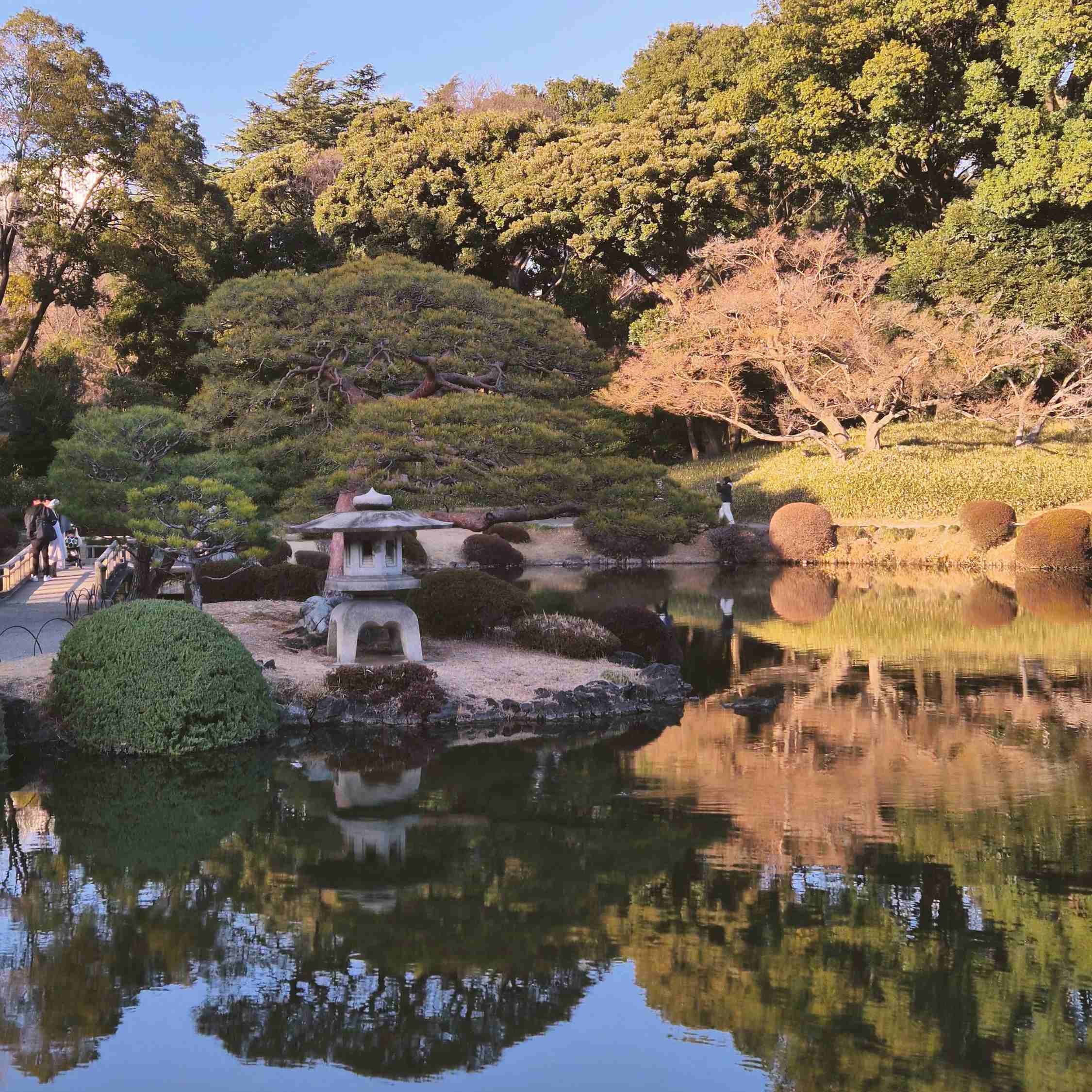 Japanese garden with a pond, stone lantern, and trees